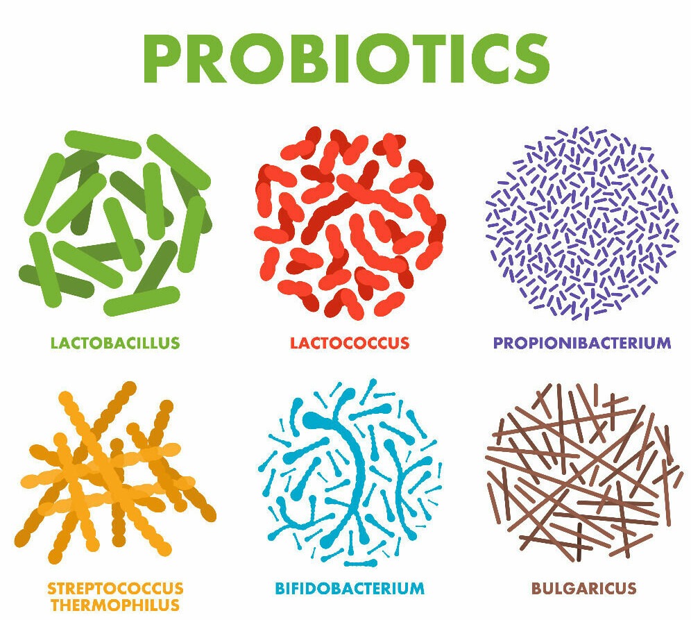 Types of Probiotic