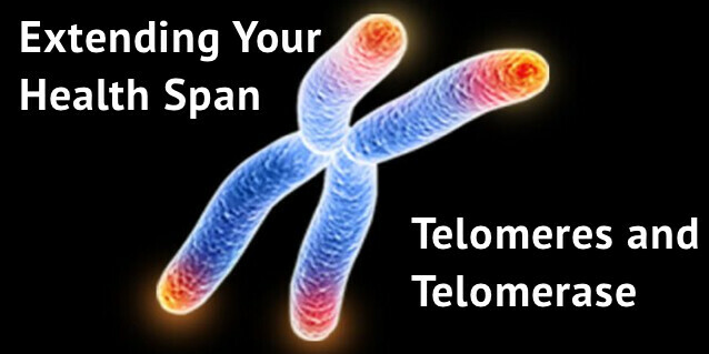 Extending Telomeres For Longevity